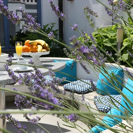 Villa Bavaria Trogir Donji Seget